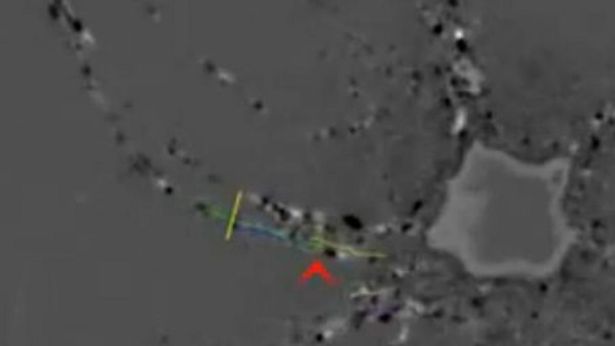 te ai intrebat vreodata cum arata interiorul unui neuron uman vezi aici imagini surprinse de