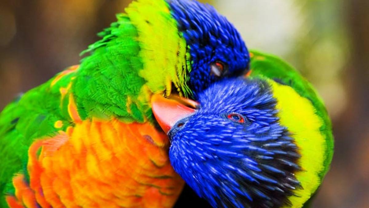 cand dumnezeu picteaza imaginile care spun mai mult decat 1000 de cuvinte