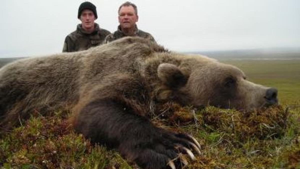 cea mai mare retea de braconaj din judetul bacau destructurata de politisti