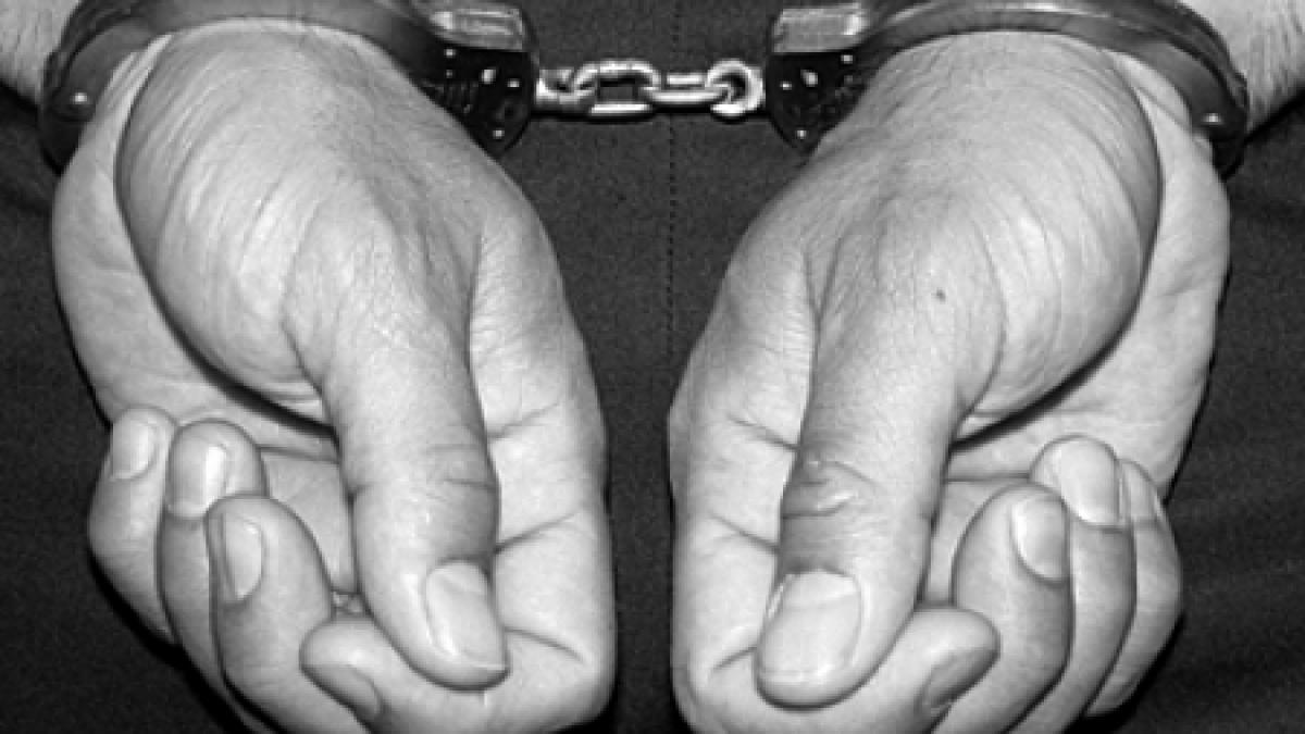 un om de afaceri din mehedinti a fost arestat preventiv pentru un prejudiciu de 12 milioane de euro