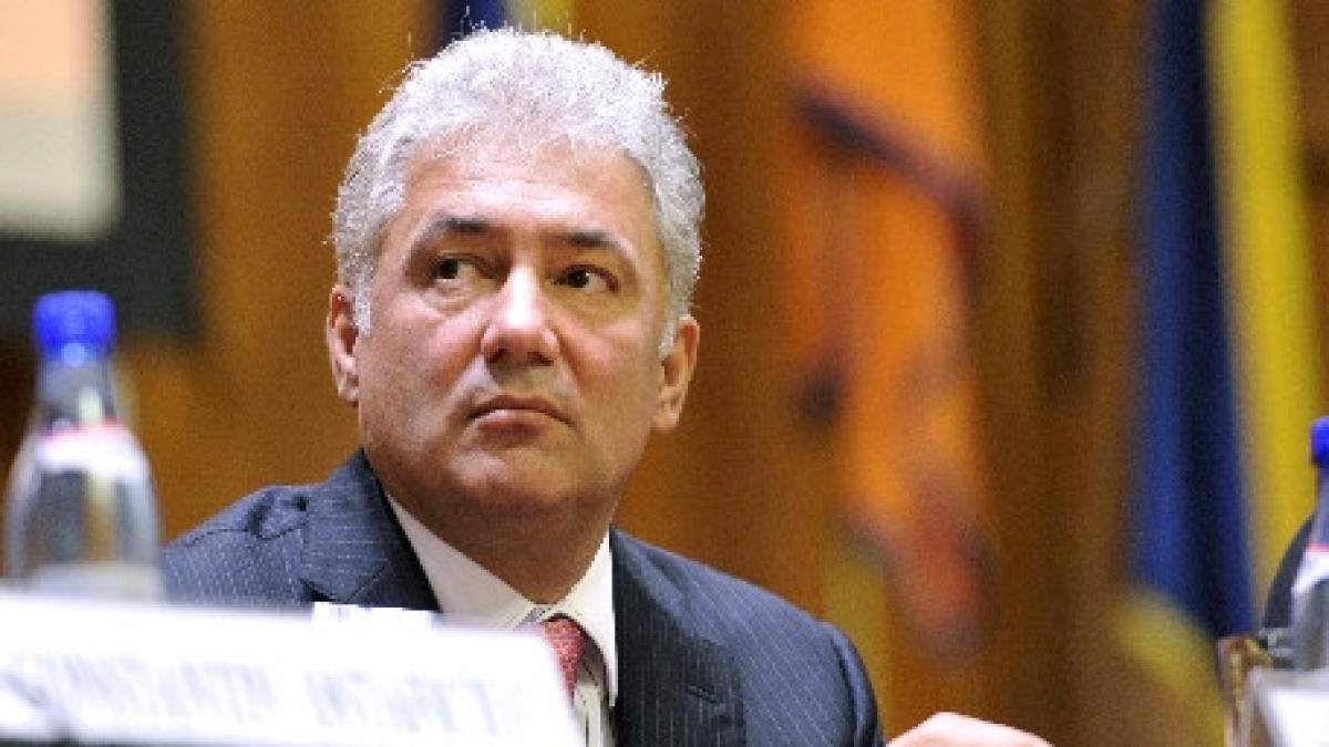 adriean videanu desemnat coordonator al campaniei electorale a ard