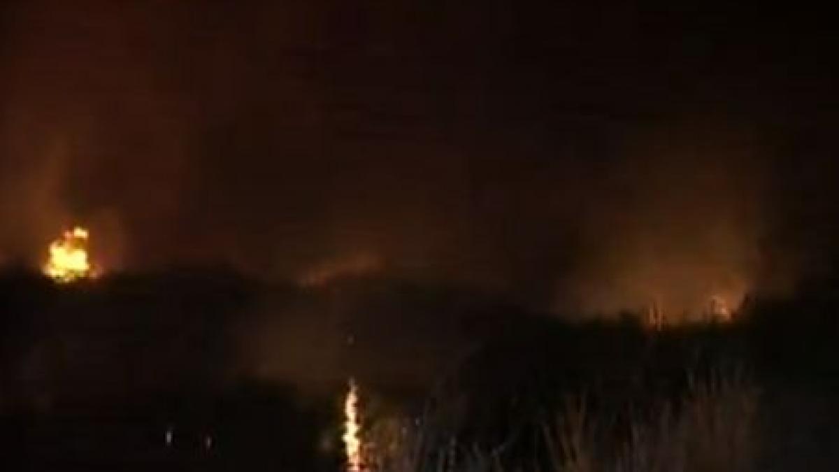 constanta incendiu pe o suprafata de doi kilometri in delta dunarii
