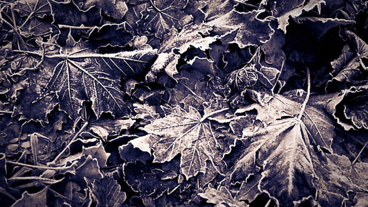 drumarii s au pus pe treaba a nins in maramures iar meteorologii anunta o racire a vremii pentru