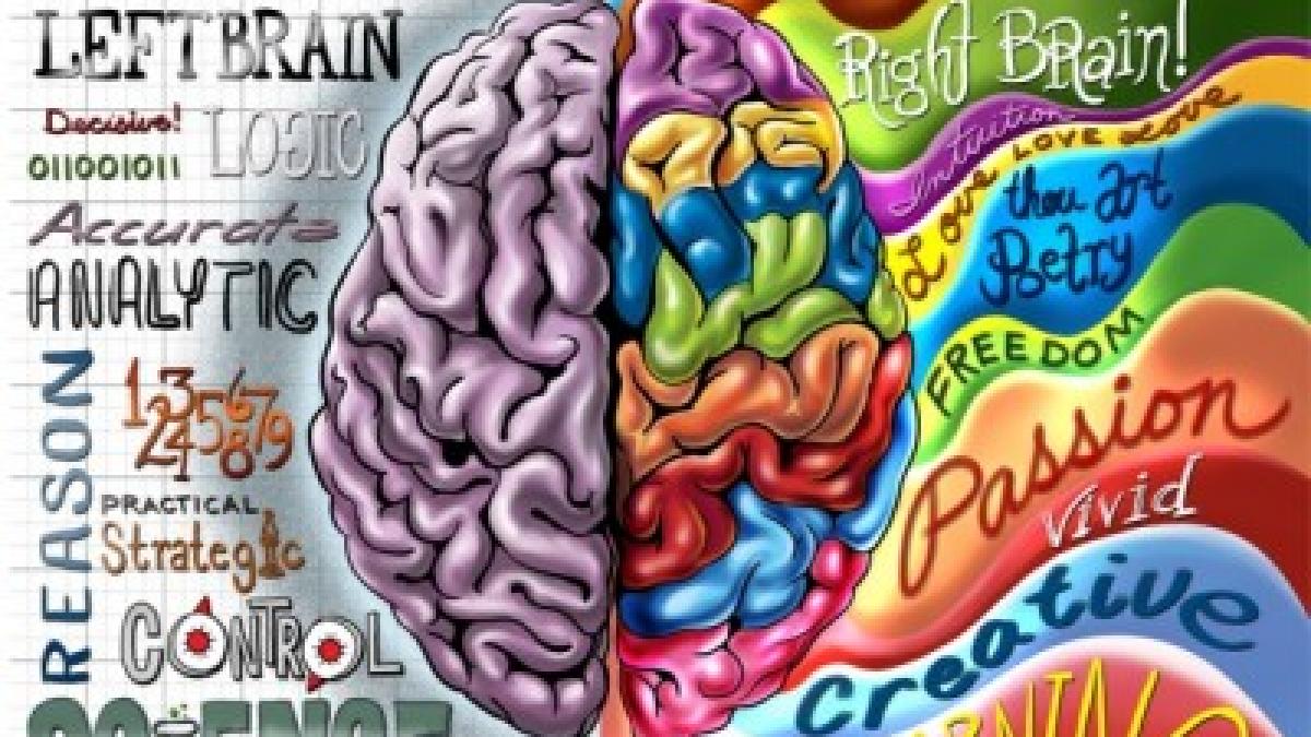 testul pe care creierul tau nu te lasa sa il faci iti va dezvalui ce fel de persoana esti