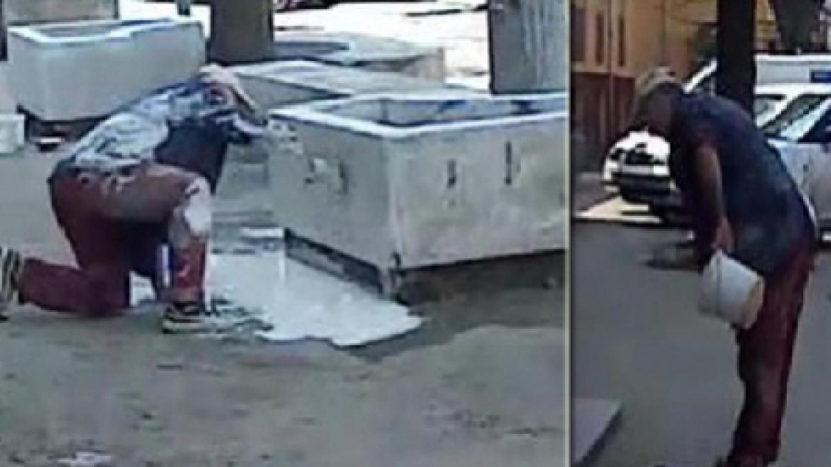 bautura bat o vina iata un zugrav harnic cu multa ambitie