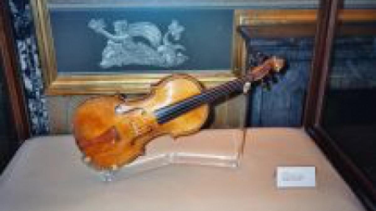 austria comerciant de viori stradivarius condamnat la sase ani de inchisoare