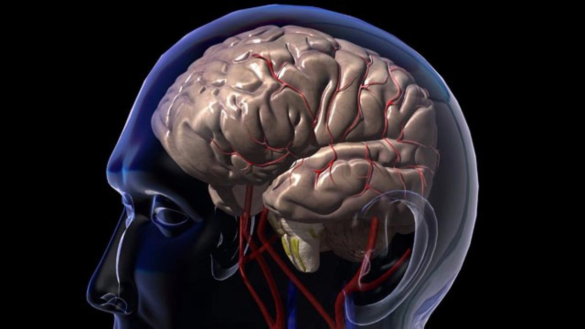 descoperirea care ar putea schimba medicina primul pacient in stare vegetativa care a vorbit cu