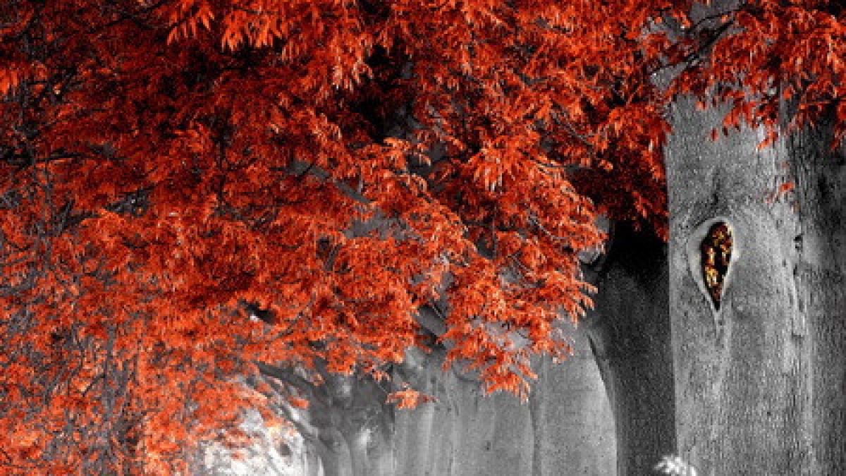 ninsori ca n plina iarna si temperaturi negative vremea s a racit si cu 10 grade iar meteorologii