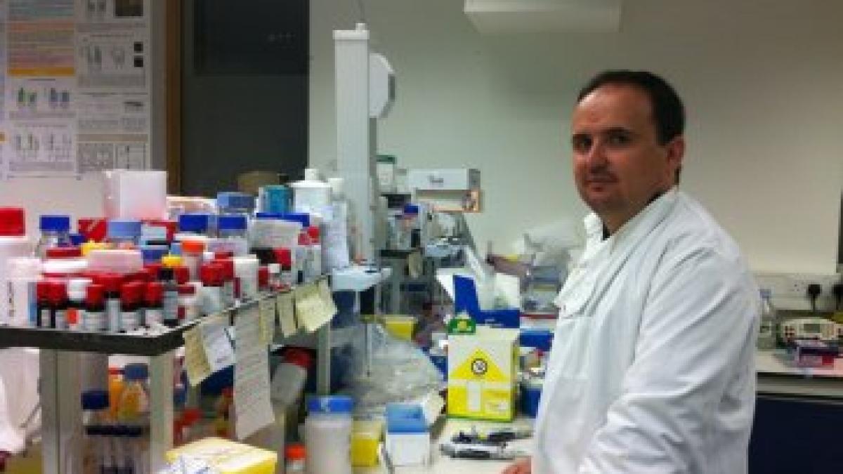 romanul apreciat de mii de irlandezi aruncat peste granitele noastre de dezastrul din cercetare