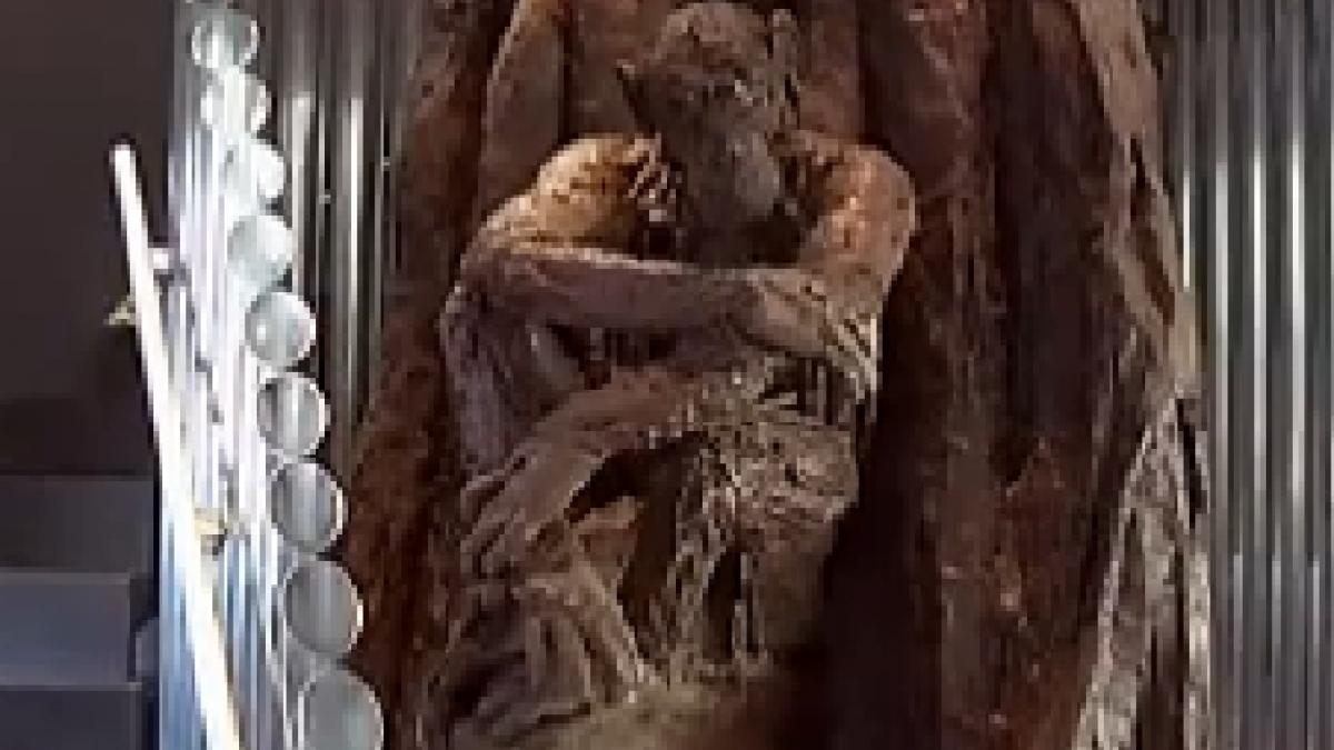 imagini delicioase un maestru cofetar din franta a creat un copac din ciocolata inalt de 5 metri