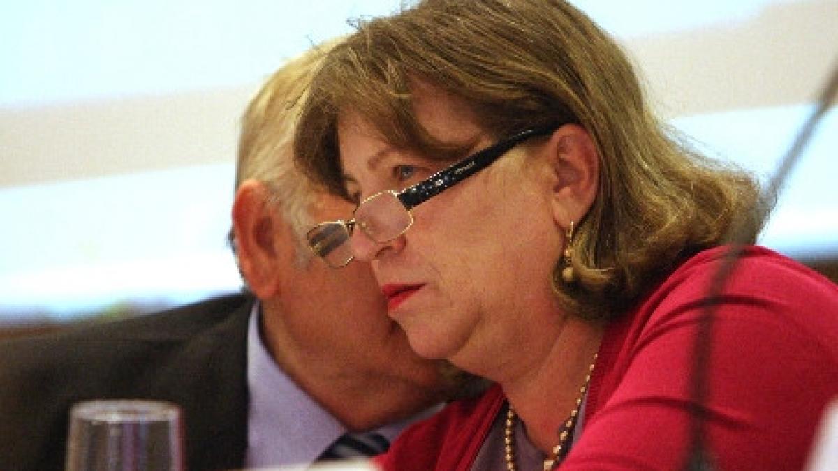 norica nicolai nu exclude implicarea serviciilor secrete in campania electorala