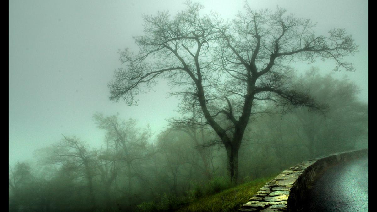 vestea de care soferii trebuie sa tina seama ceata va mai face ravagii inca o saptamana apoi vor
