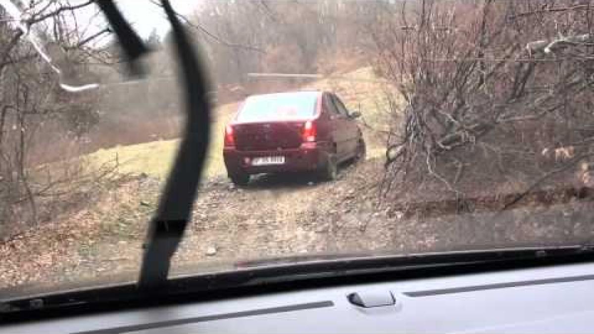 cum riscam sa pierdem un simbol national ar putea ajunge emblema nationala a marocului