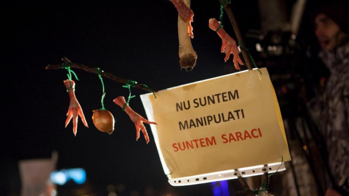 mi e mila de ce este acum e o vale a plangerii cea mai paguboasa privatizare pentru statul roman a