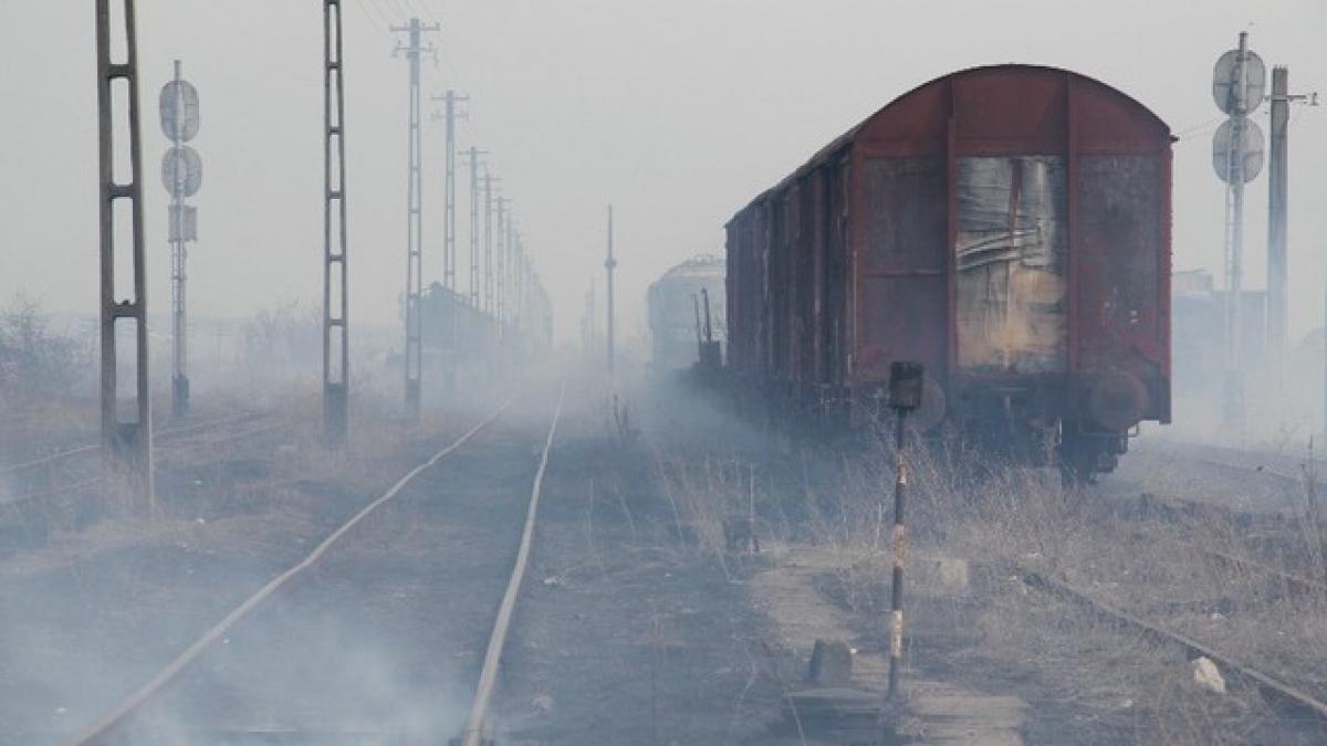 voia sa aiba gara lui cum a fost pacalit un barbat sa plateasca 600 000 de lei pentru cateva hartii