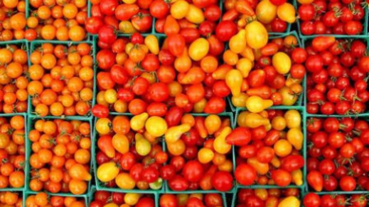 toate transporturile de fructe din turcia au fost oprite la vama