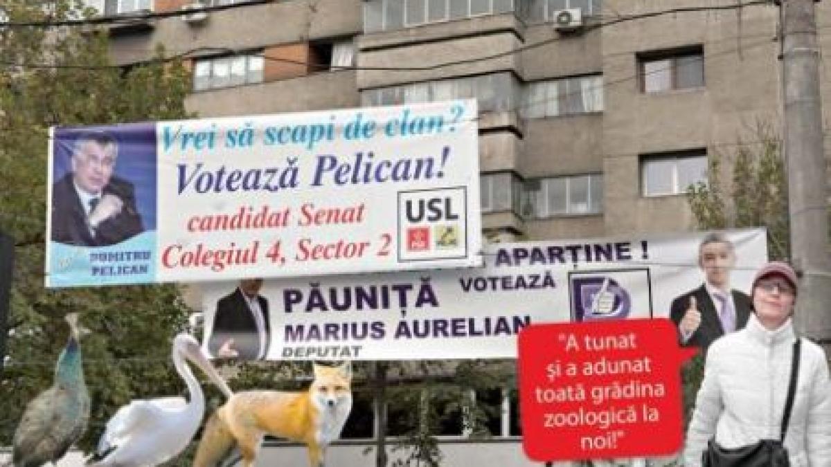 vulpoiu pelican si cerbulescu vor in parlament lupu si tapu vor si ei un fotoliu ochi ii vede