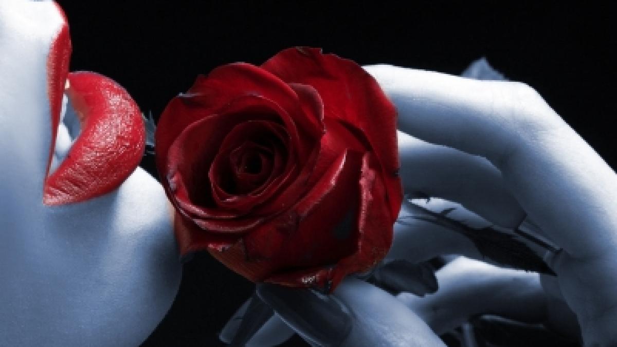 cum sa l innebunesti cu tehnicile tale orale