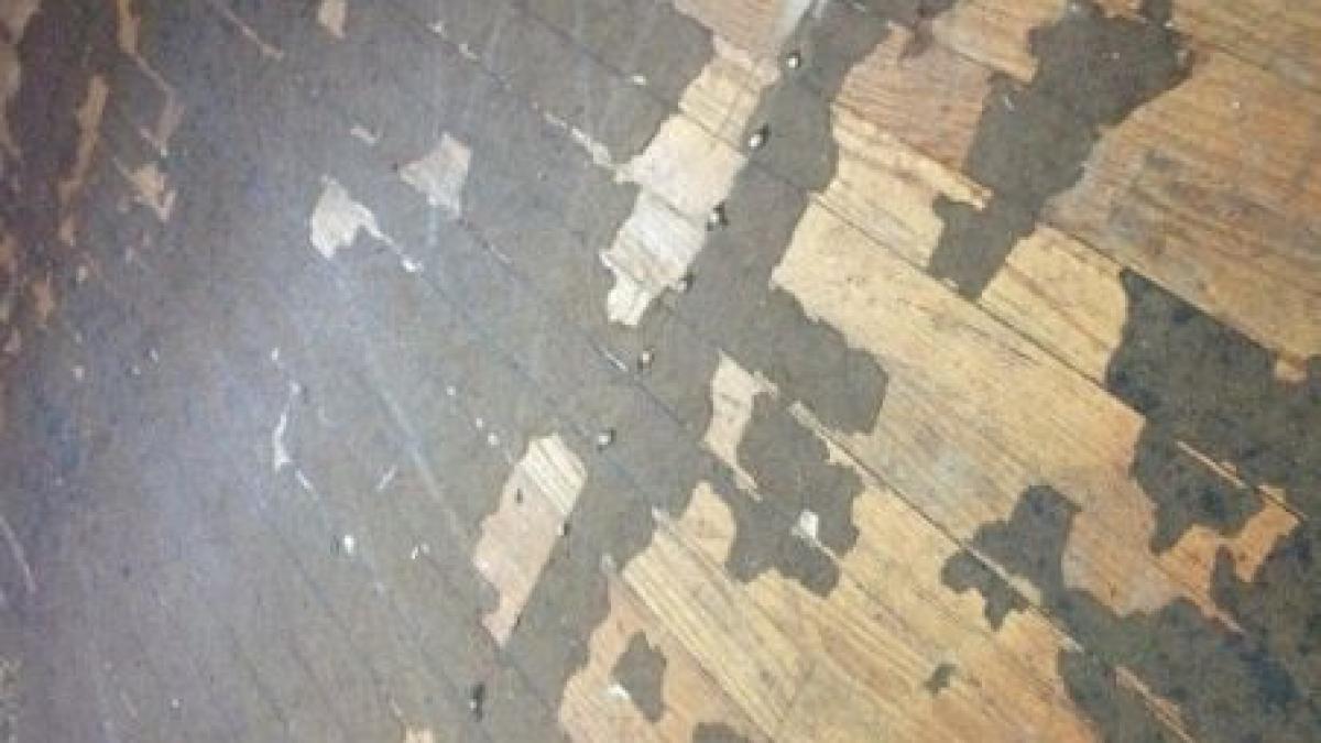 este incredibil inca nu imi vine sa cred descoperirea uimitoare a unor muncitori