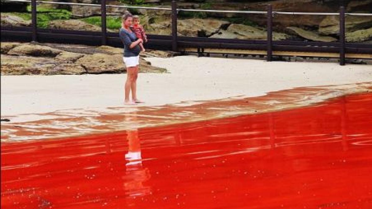 "Şi apa se va transforma în sânge". Scena care i-a îngrozit pe turişti