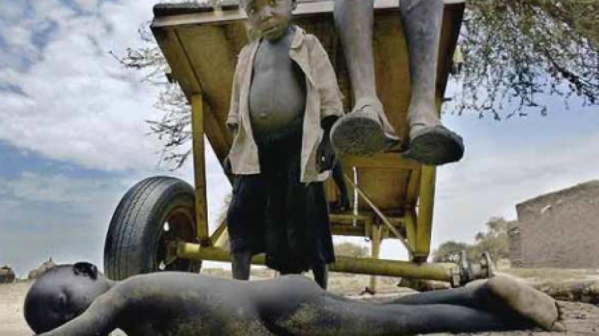 acest proiect este mai important decat orice altceva de pe glob cercetatorii care vor salva