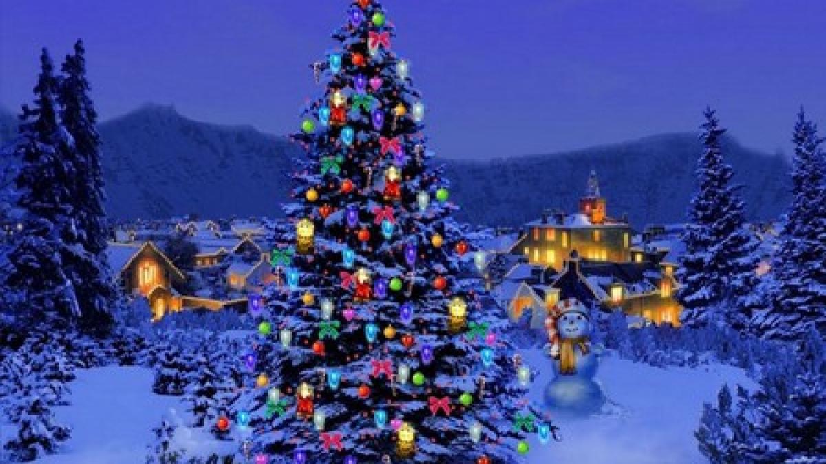 spriritul sarbatorilor cuprinde romania unde se afla cel mai inalt brad de craciun din tara