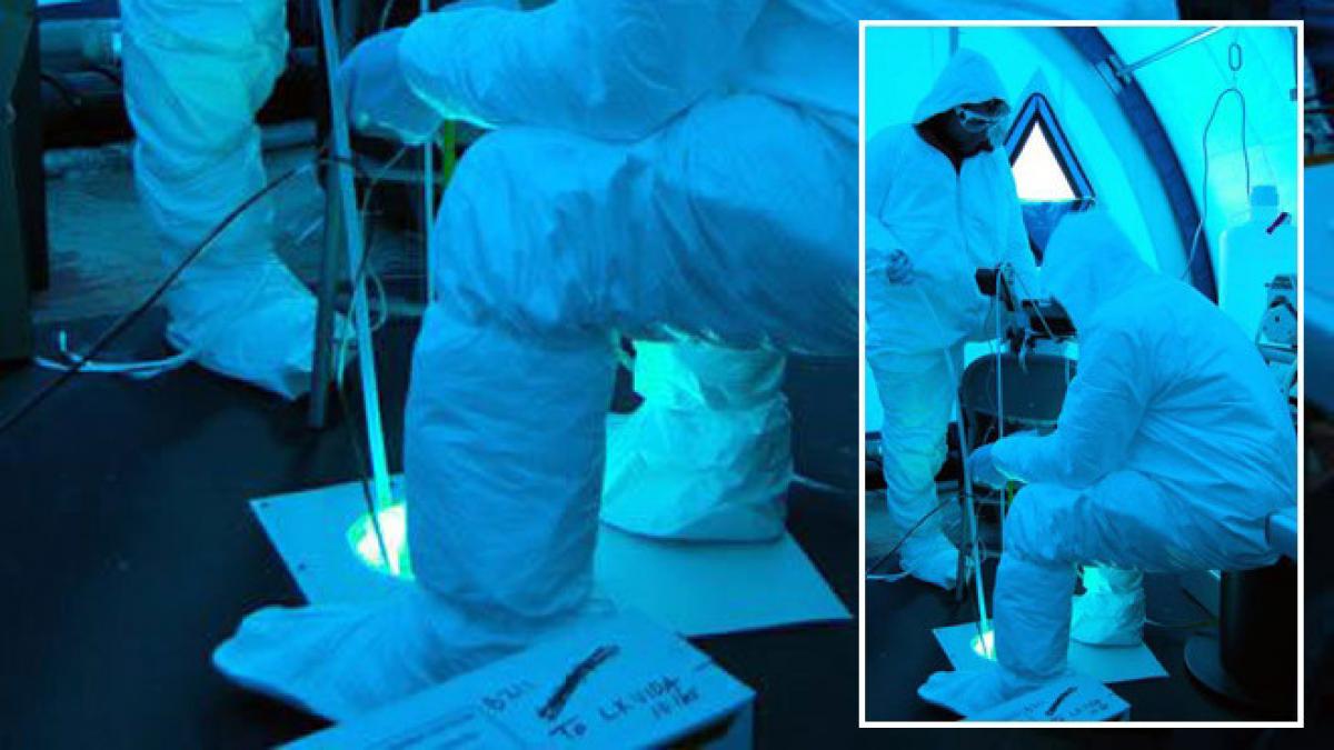 descoperirea uimitoare care schimba tot ce stiam despre viata de pe pamant