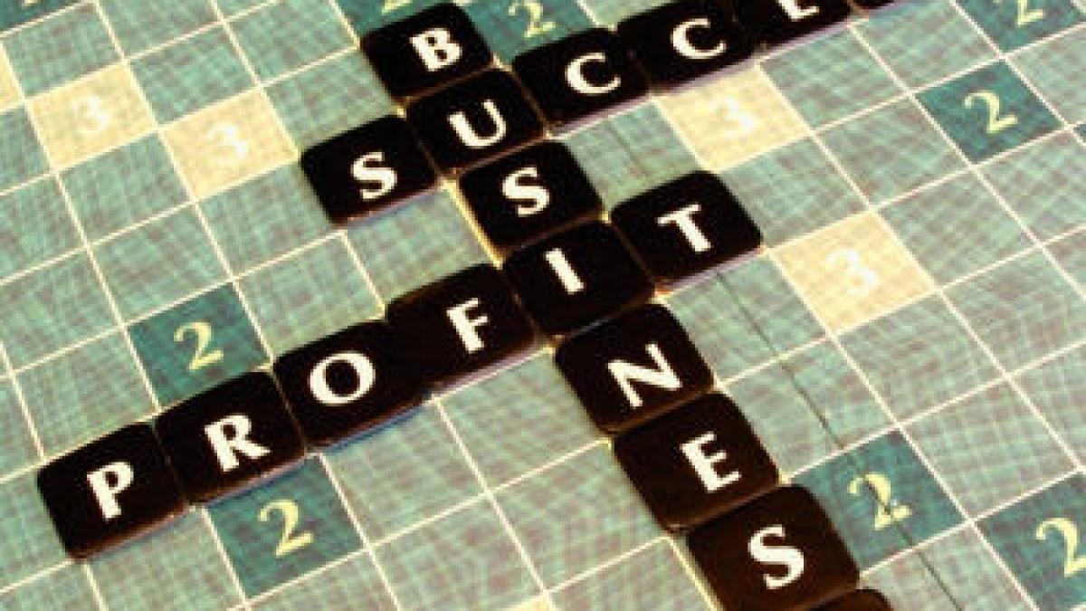 solutia pentru un business de succes in desertul crizei economice care este oaza care asigura