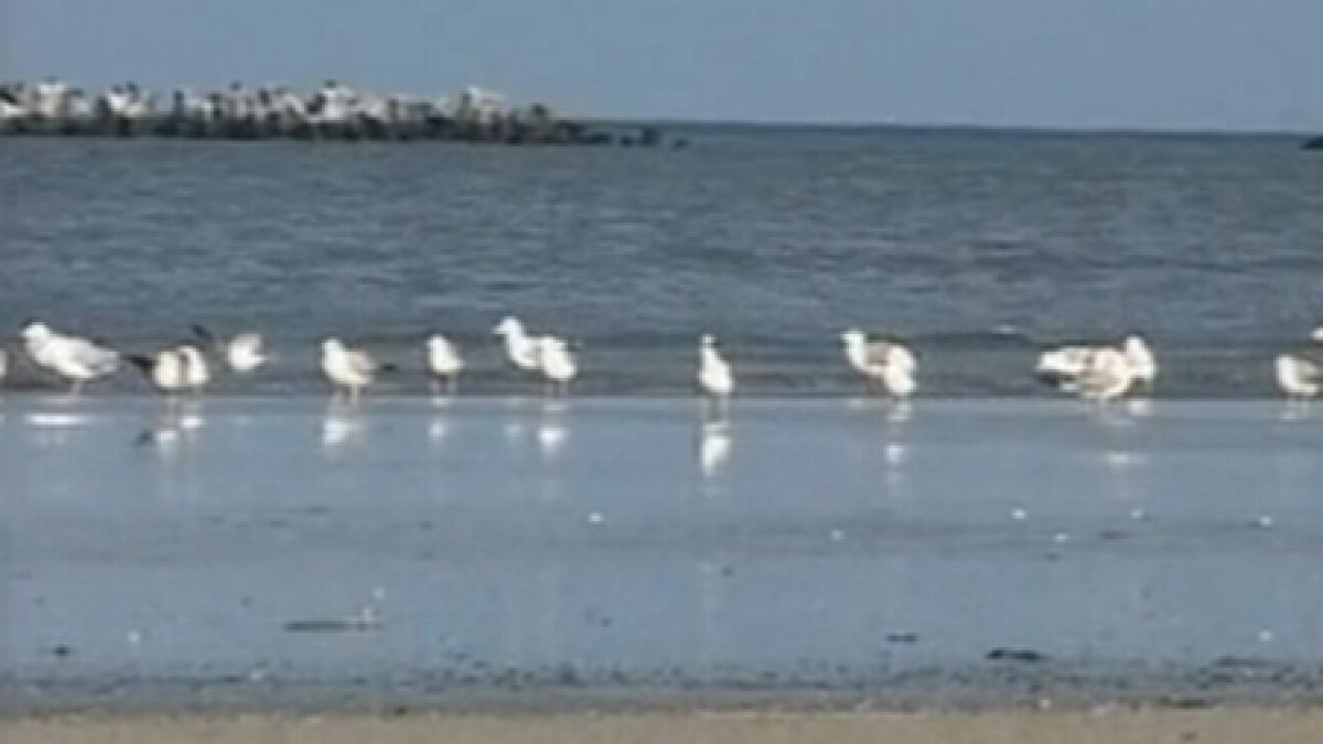 fenomenul rar care a schimbat litoralul marii negre cum arata acesta acum