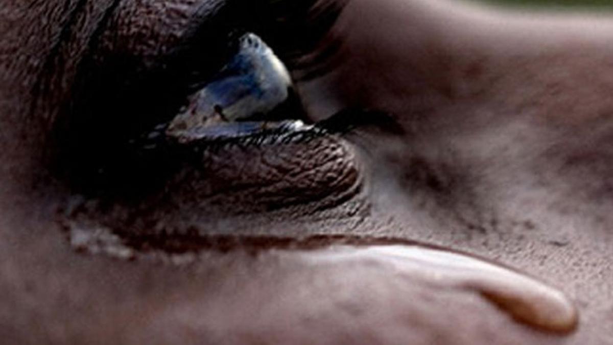 omul fenomen care a lasat o lume intreaga in lacrimi a murit filmele sale inca au un impact urias