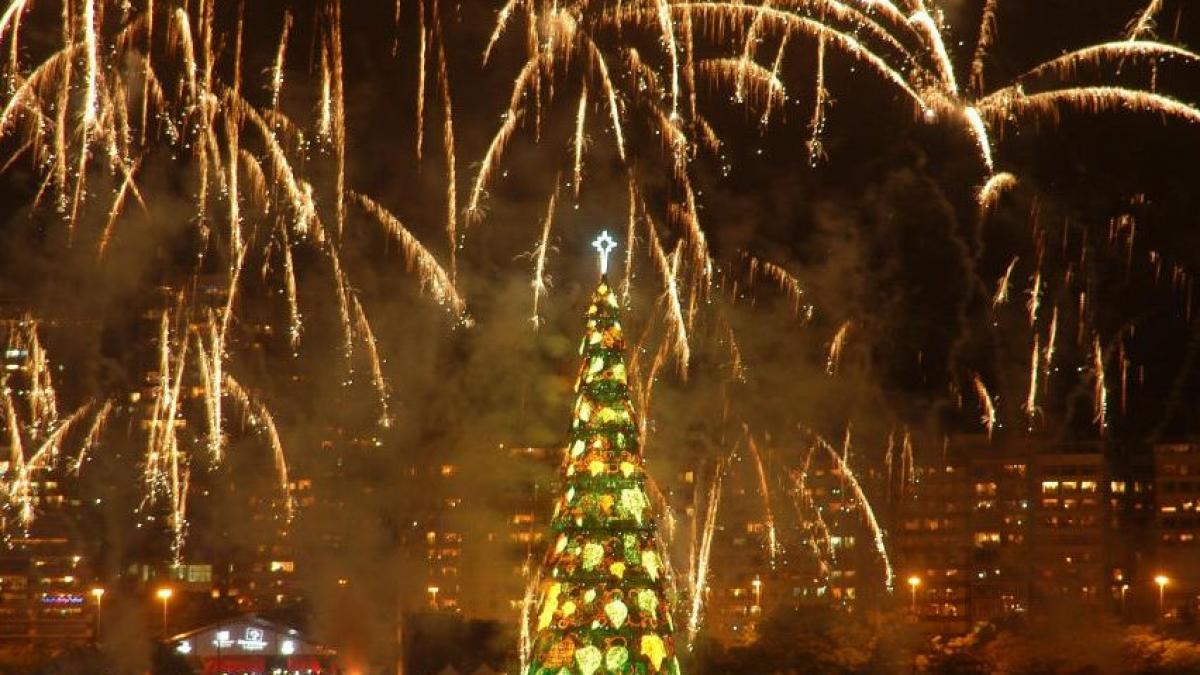 la rio de janeiro este deja sarbatoare cum arata cel mai mare brad plutitor din lume