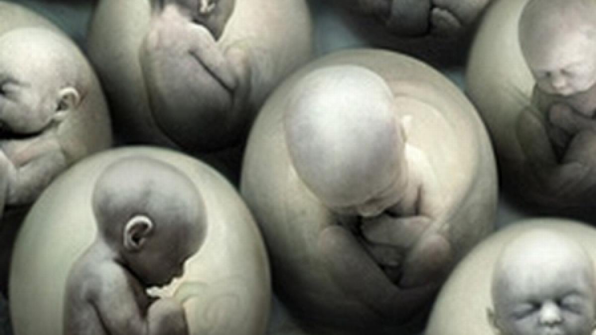 franta va autoriza cercetarea pe embrioni si celule stem