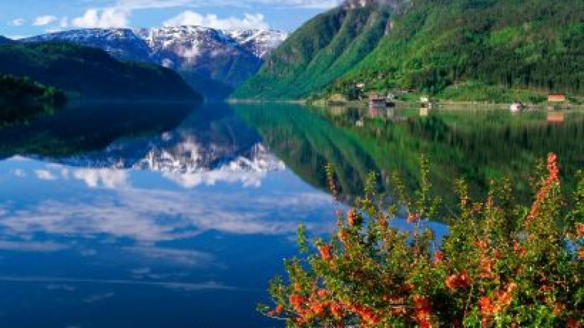 tara din europa cu o populatie putin mai mare ca a bucurestiului spre care toti vor sa emigreze a