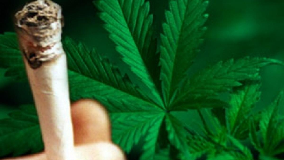 washington taramul ingaduintelor posesia de marijuana si casatoriile gay au fost legalizate