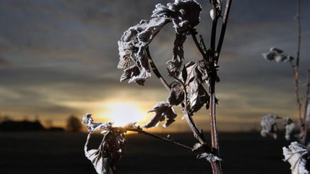 cea mai mica temperatura din aceasta iarna s a inregistrat la joseni minus 22 grade celsius