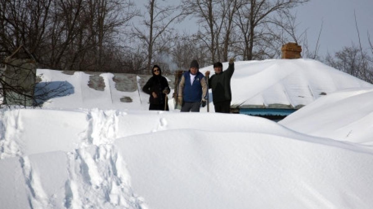 cod portocaliu de ninsori pentru judetul caras severin