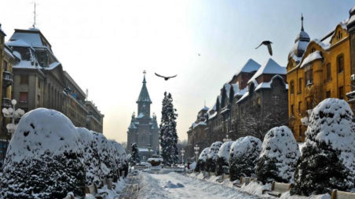 plan inedit pentru deszapezire ce le a oferit primaria timisorenilor pentru a renunta la propriile