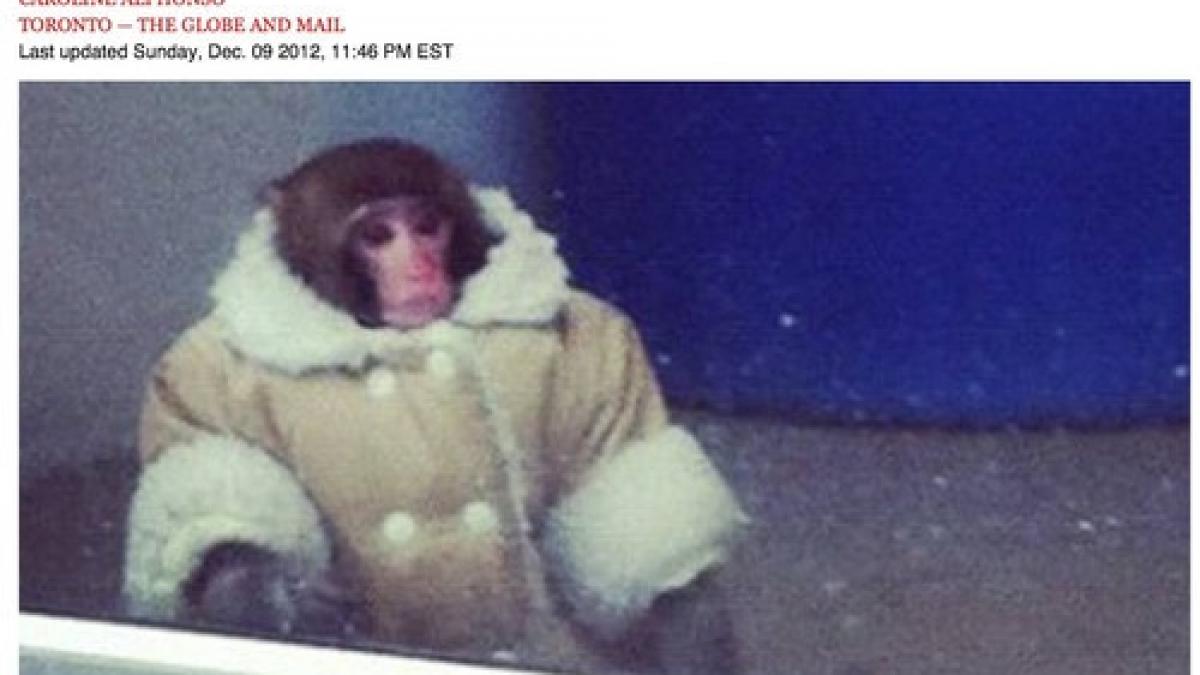 de la fotografia asta a inceput un fenomen pe twitter si facebook n o sa iti vina sa crezi unde a