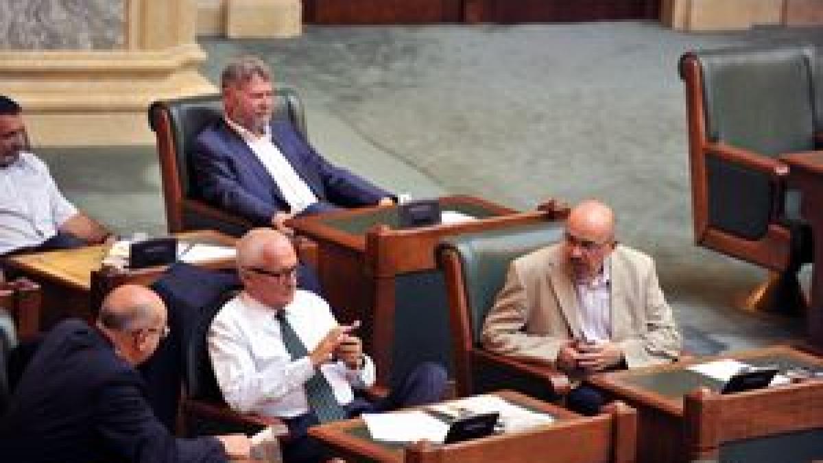 domeniul la care udmr detine recordul n au plecat din parlamentul romaniei de zeci de ani