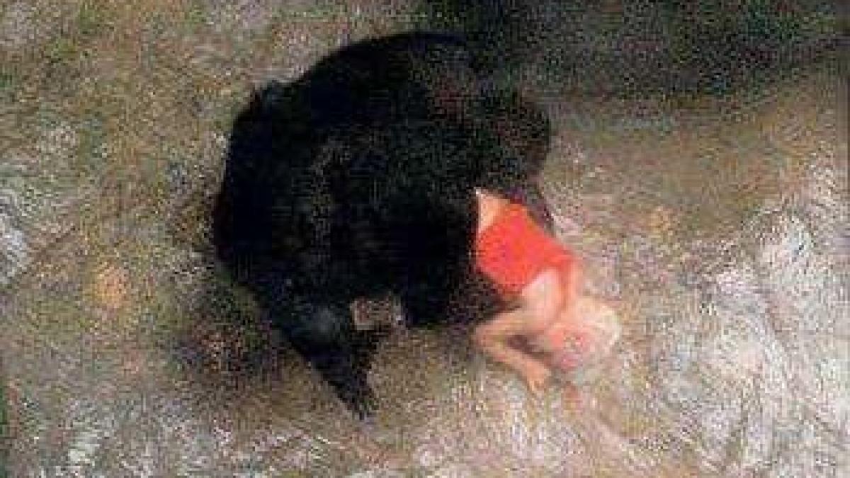 momentele emotionante care au spart bariera dintre om si animal ce a facut aceasta gorila unui