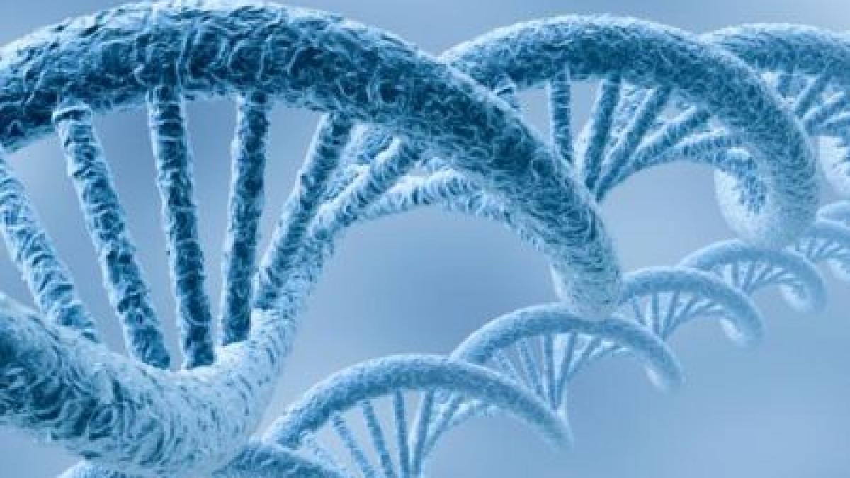 trebuie sa depasim granitele cercetarii stiintifice britanicii vor sa creeze o baza de stocare a