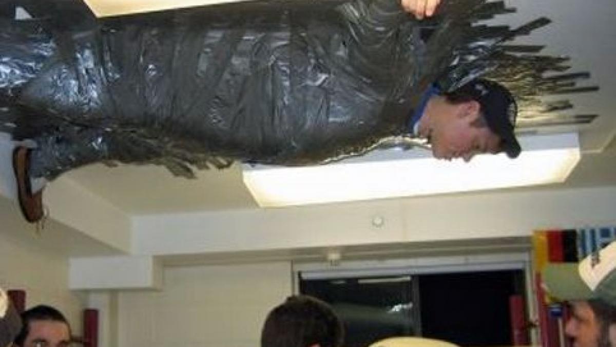 mult alcool si putina minte pana si politistii au ras de ei in hohote