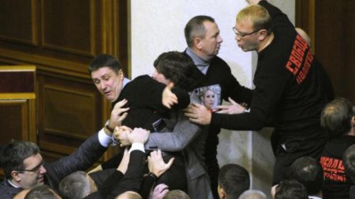 in parlament ca la nebuni femei in sanii goi si bataie intre deputati