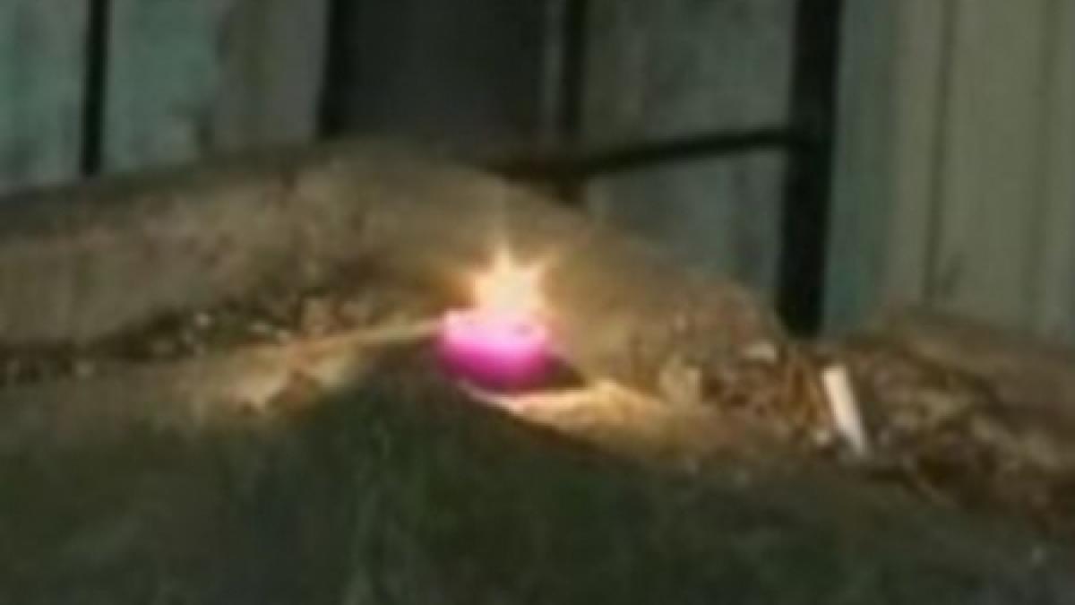 tragedie in giurgiu fata de 11 a unui politist s a sinucis dupa ce barbatul o certase pentru pozele