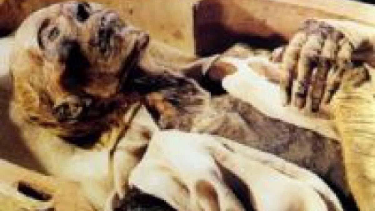 cercetatorii au dezvaluit un complot vechi de 3 000 de ani ramses al iii lea a fost asasinat