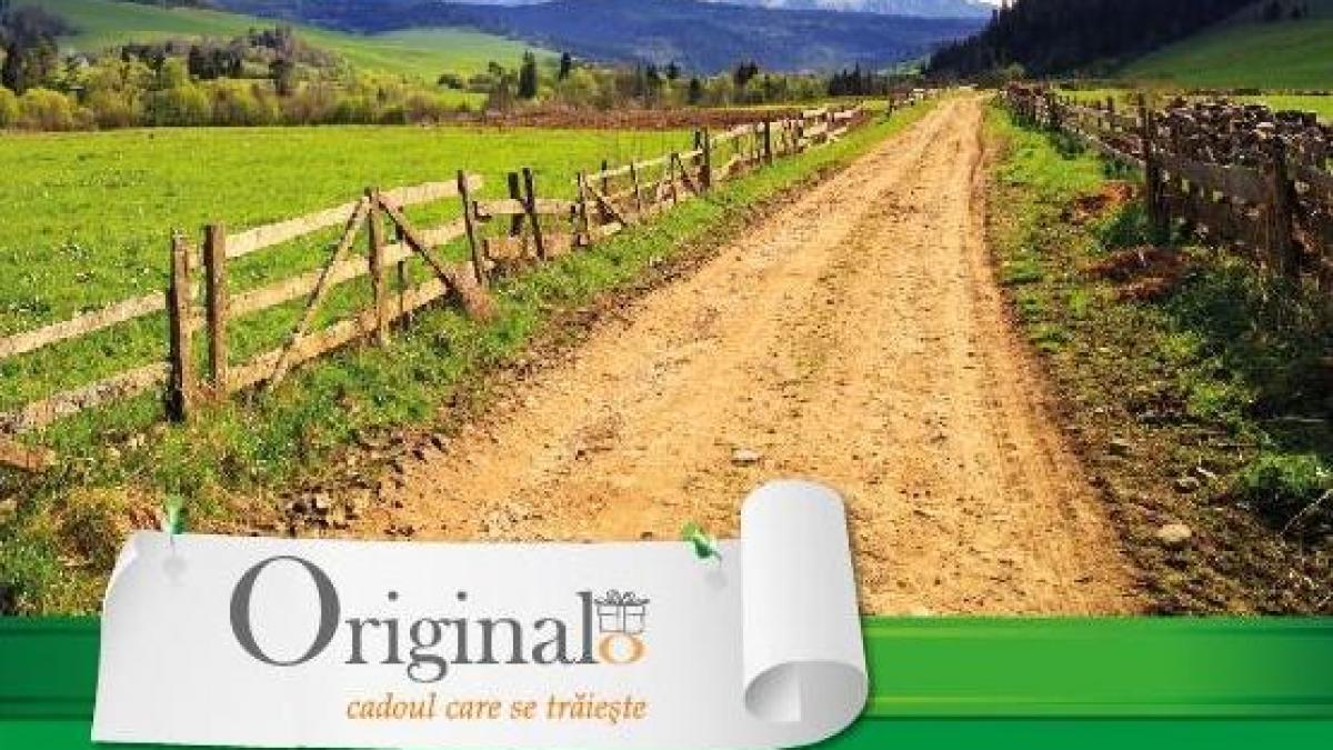 p esti in cautarea cadoului perfect