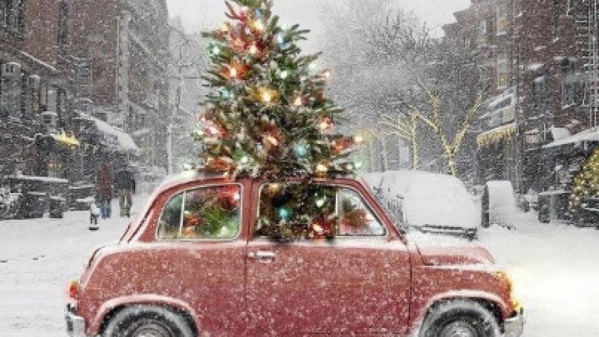 ce se gaseste in sacul mosului anul acesta ghidul cumparaturilor de craciun pe care nu trebuie sa