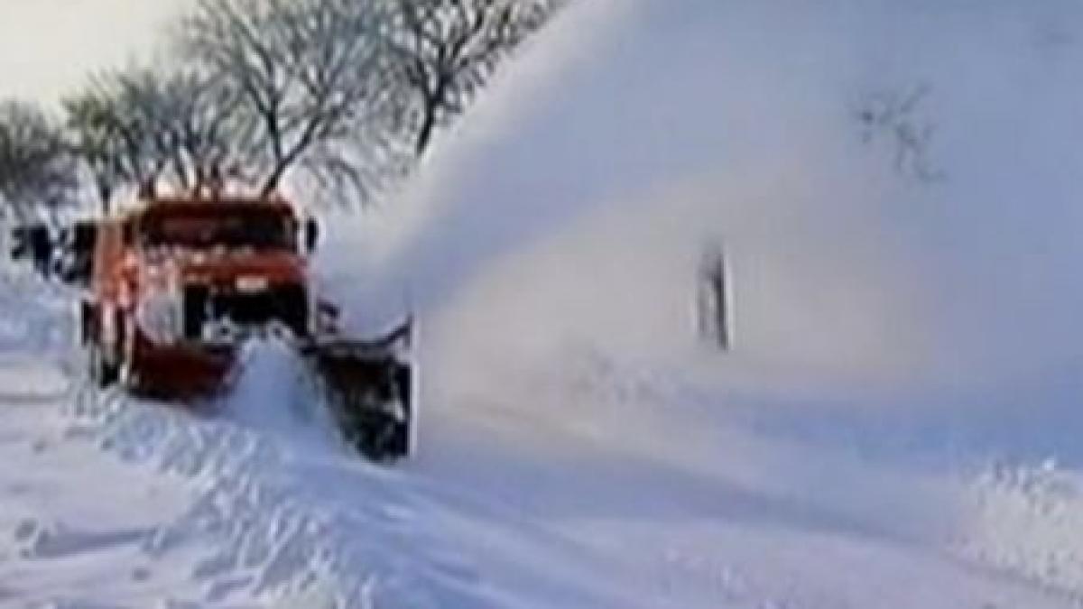 ministrul de interne cere demiterea directorului drdp iasi