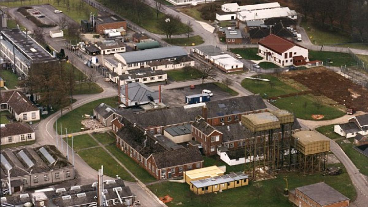 proiecte secrete ale armatei in care animalele erau chinuite si folosite pentru experimente bizare