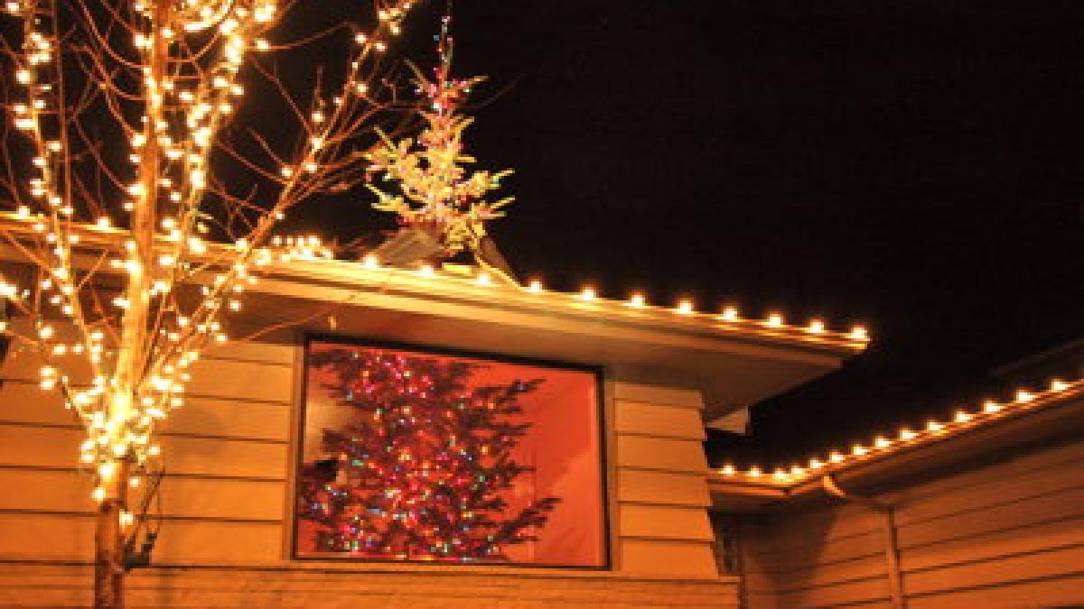 imaginea care il va incurca chiar si pe mos craciun ce au facut acesti americani cu bradul impodobit